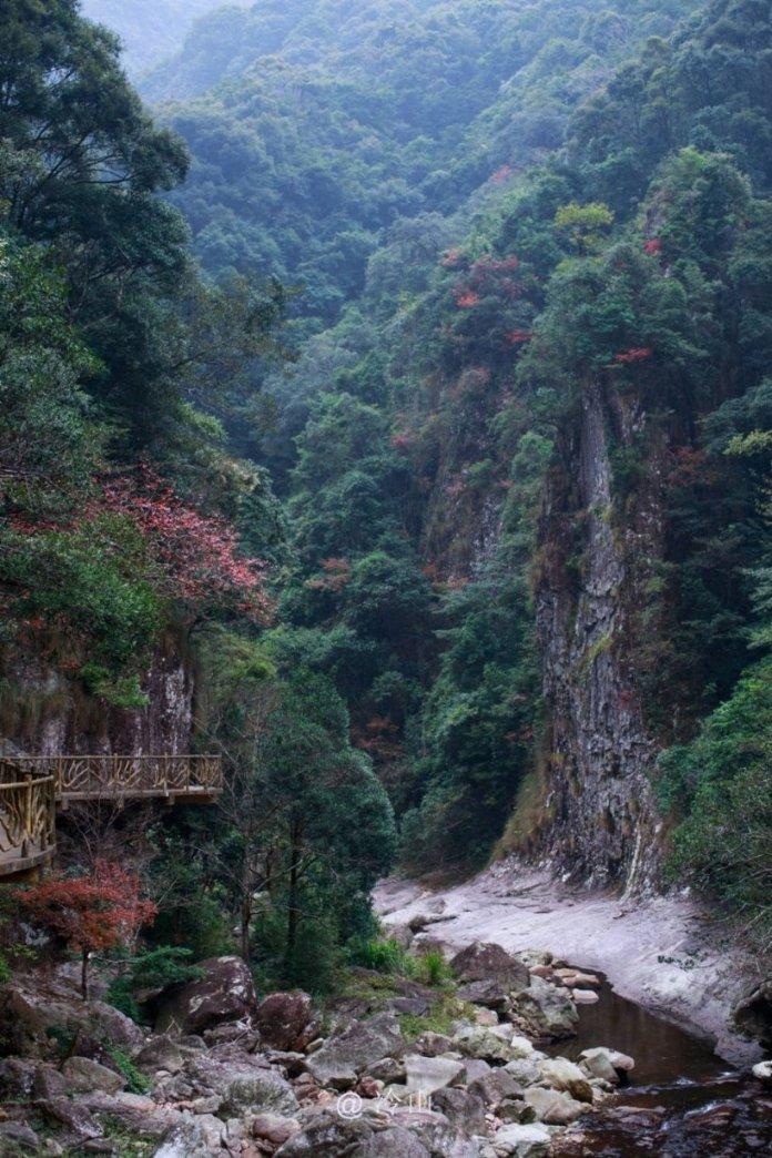 星动，只为你